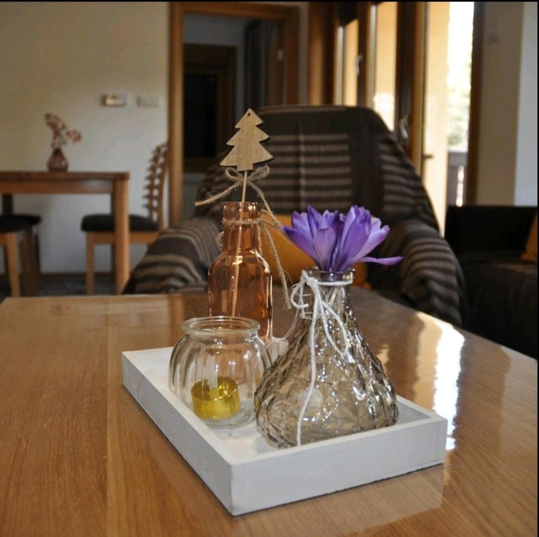Apartment Monika Zlatibor Extérieur photo